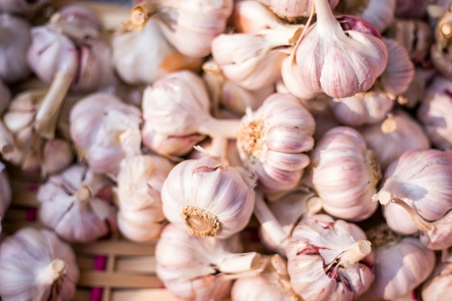 Fresh garlic