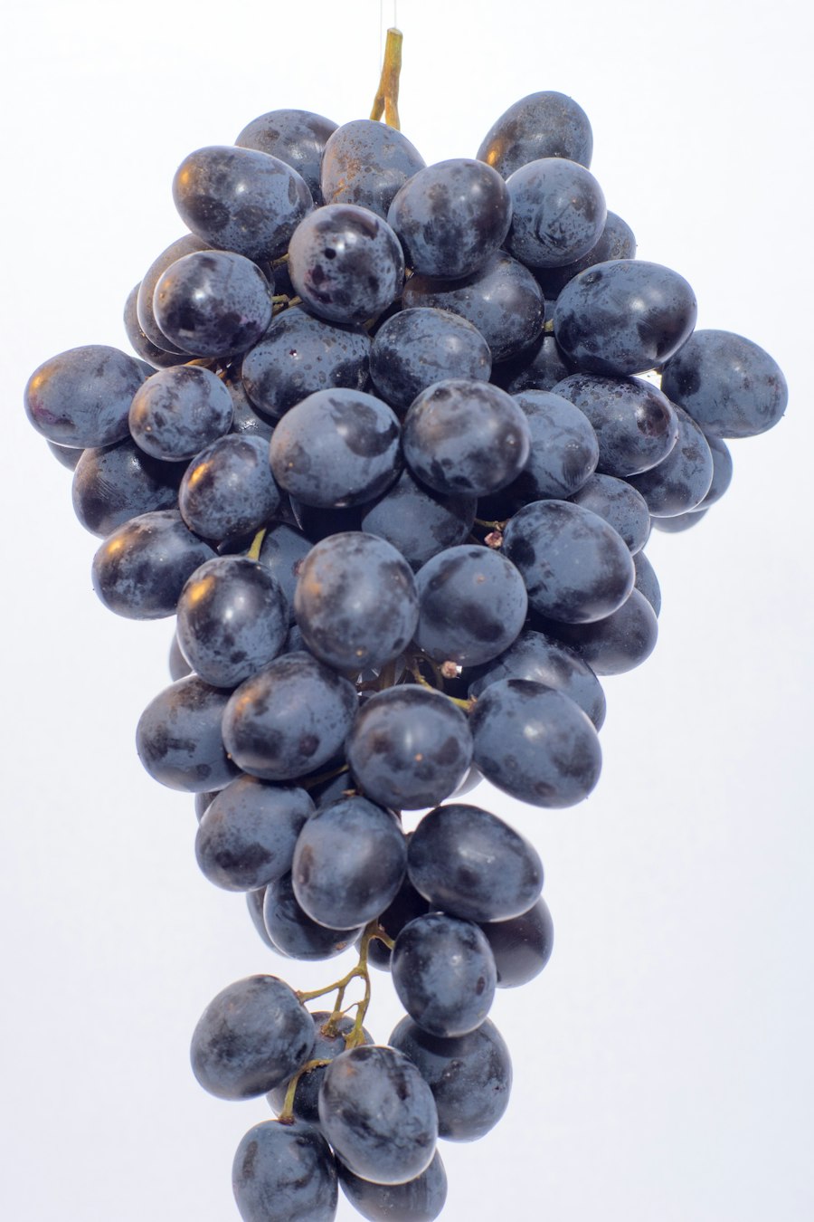 Fresh grapes