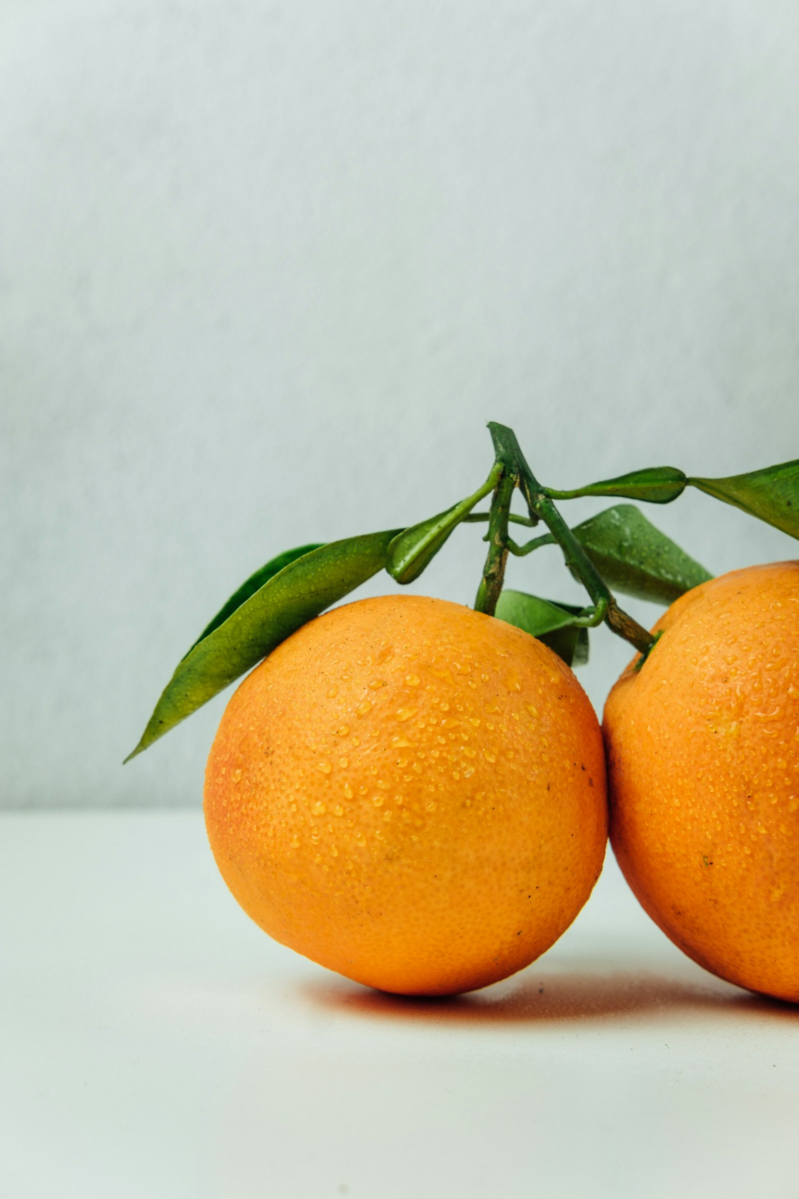 Fresh citrus oranges harvest