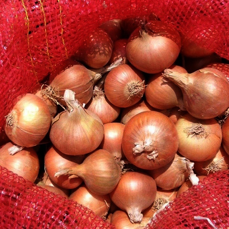 Onions
